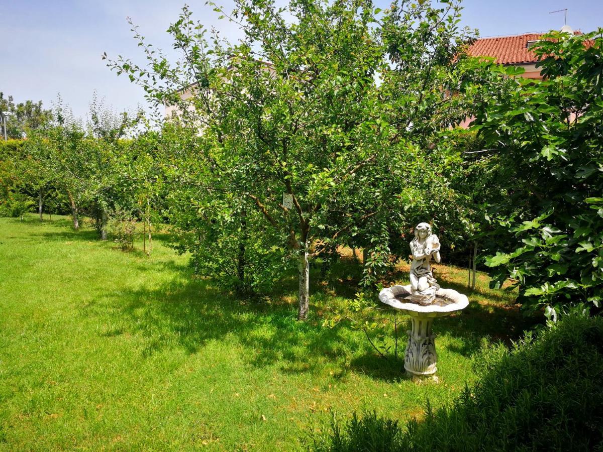 Greenhill PUY Exterior foto