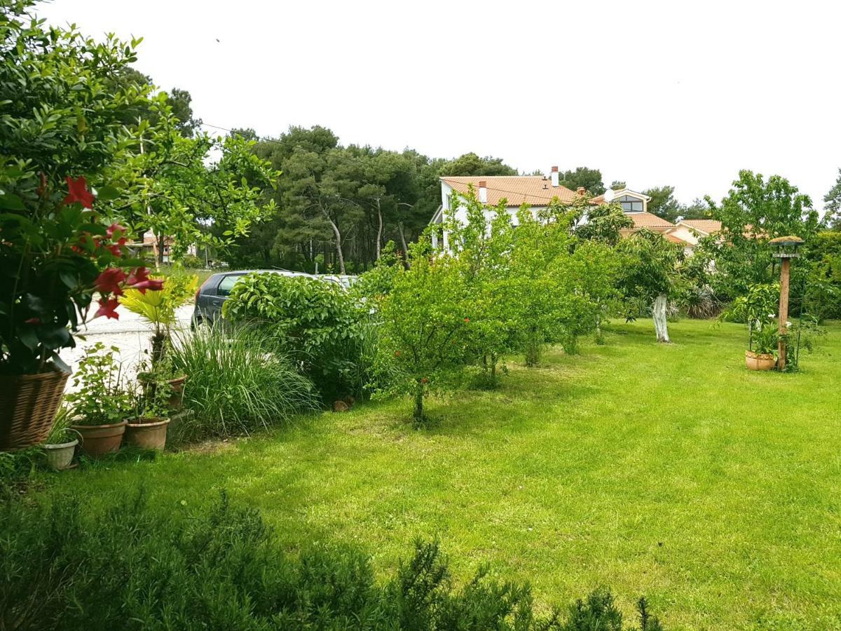 Greenhill PUY Exterior foto